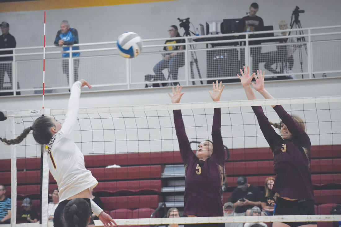 Rabbits returning core looks to build on past success News, Sports